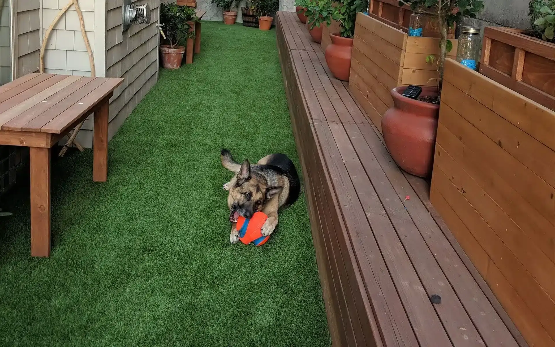 Artificial Pet Turf Installation